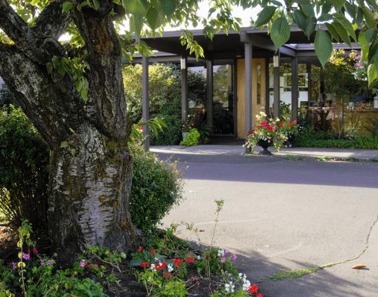 Common Ground Wellness Cooperative